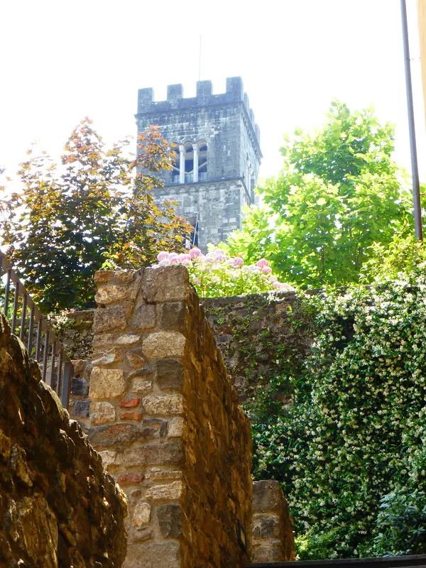 Barga-Duomo (1)