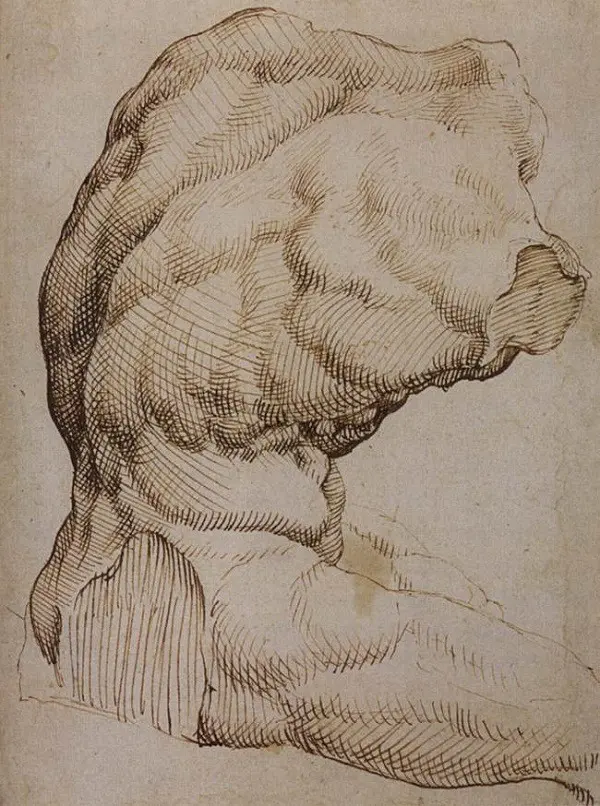 Belvedere-Torso-Maarten-van-Heemskerck