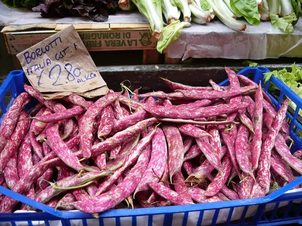 Bologna-markt (2)