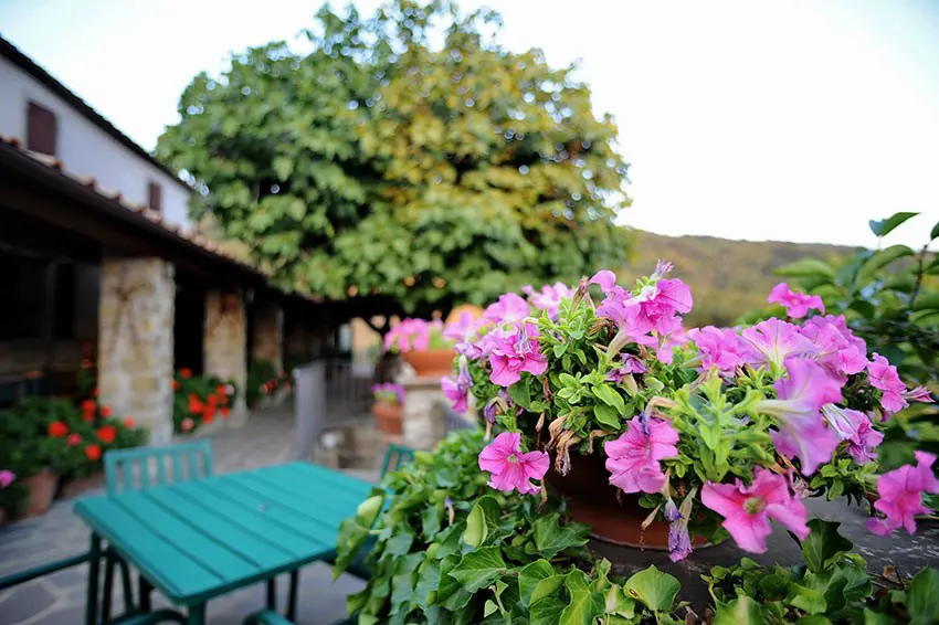 Borgo-Mocale-Arezzo-Toscane (18)