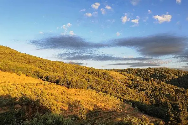 Borgo-Mocale-Arezzo-Toscane (21)