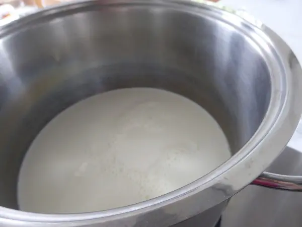 Boska-zelf-mozzarella-maken (16)