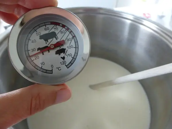 Boska-zelf-mozzarella-maken (18)