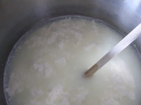 Boska-zelf-mozzarella-maken (20)