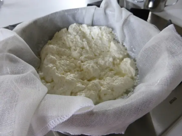 Boska-zelf-mozzarella-maken (22)