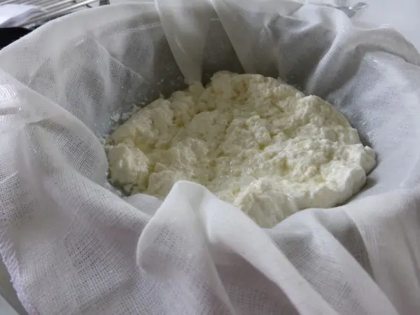 Boska-zelf-mozzarella-maken (23)