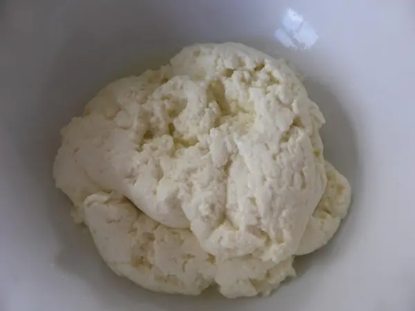 Boska-zelf-mozzarella-maken (28)