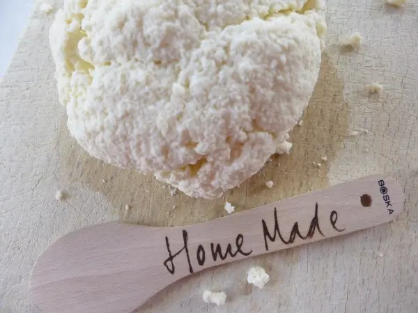 Boska-zelf-mozzarella-maken (36)
