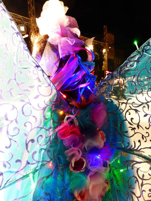 Carneval-Manfredonia-Puglia (21)