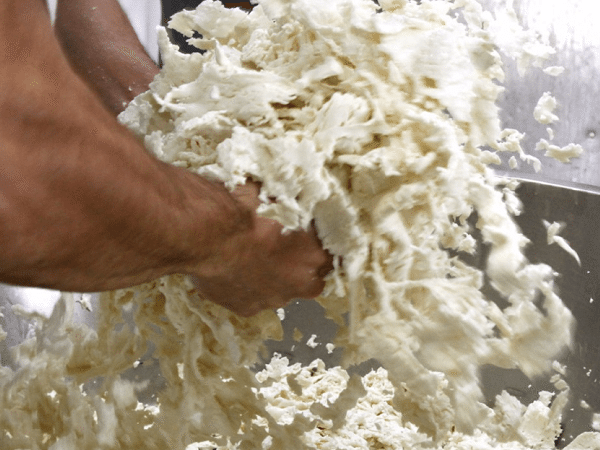 Caseificio-Barlotti-buffel-mozzarella-Capaccio-Cilento (6)