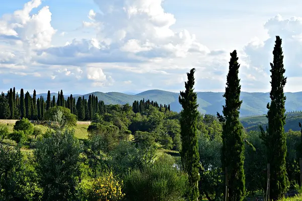 Castello-Albola-Chianti (2a) (1)