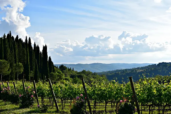 Castello-Albola-Chianti (2a) (2)