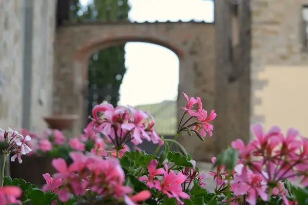 Castello-Albola-Chianti (2a) (4)