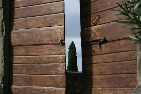 Castello-Albola-Chianti-tuin