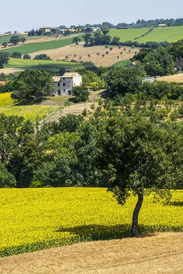 Cingoli-Jesi-Le-Marche