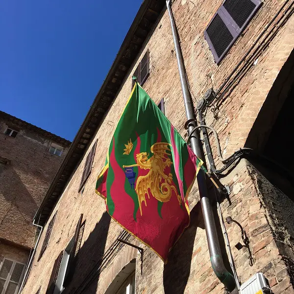 Contrada-del-Drago-Siena (2)