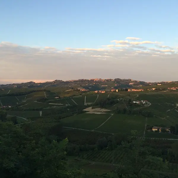 Cossetti-wijn-Piemonte (16)