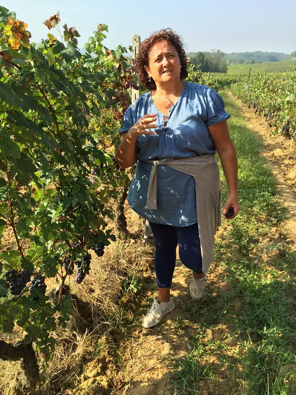 Cossetti-wijn-Piemonte (22)