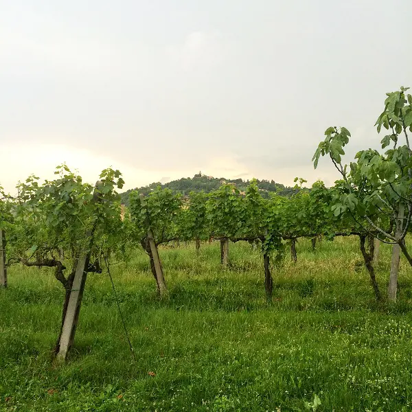 Countryhouse-Montesoffio-Le-Marche (3)
