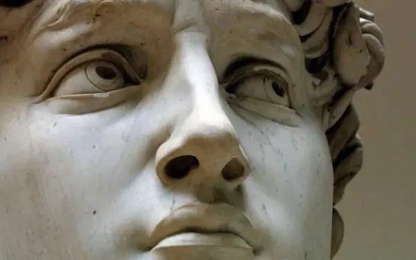 David-Florence-Michelangelo-detail