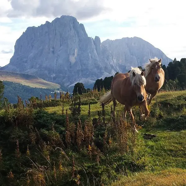 Dolomieten-Val-Gardena-hike (19)