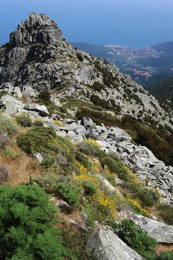 Elba-Monte-Capanne