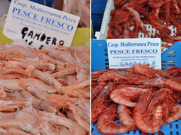 Favignana-haven-7