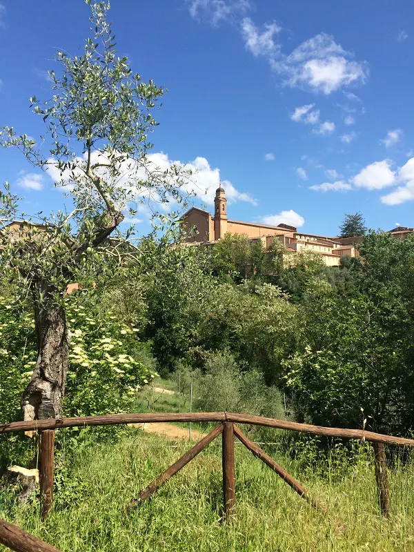 Fonte-Follonica-Siena (4)