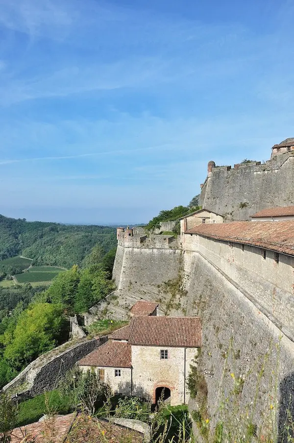 Gavi-fort-2