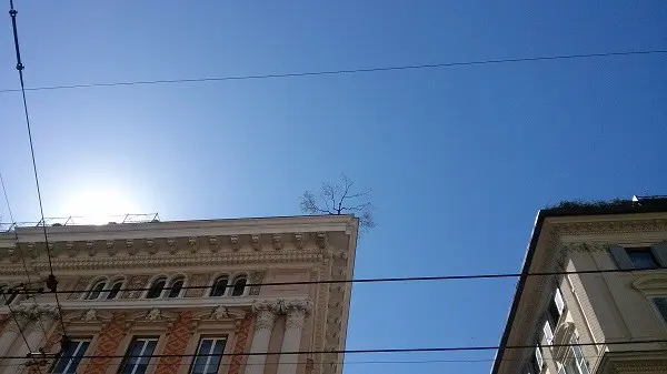 Genua (6)