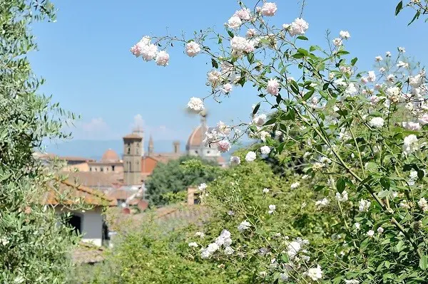 Giardino-delle-Rose-Florence-Inge-van-Beekum (3)
