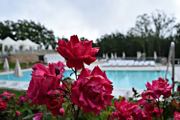 Glamping-camping-Orlando-Chianti-Toscane-2