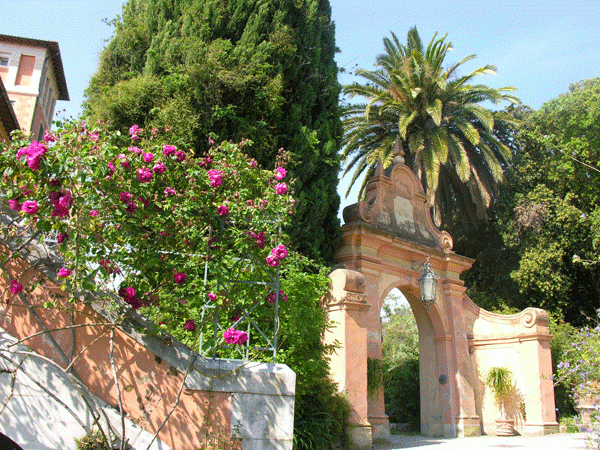 Hanbury-Ventimiglia-2c