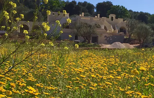 Huis-in-Zuid-Italië-Puglia (12)