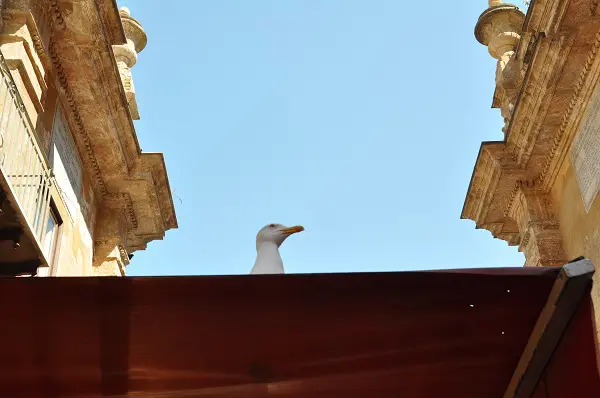 Il-Capo-markt-Palermo (2)