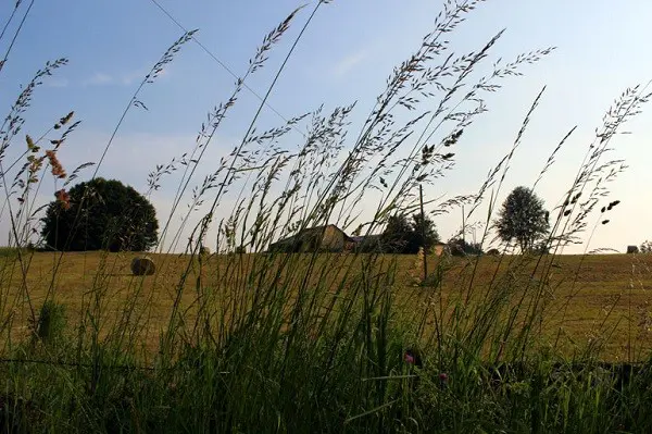 La-Scuola-omgeving (1)