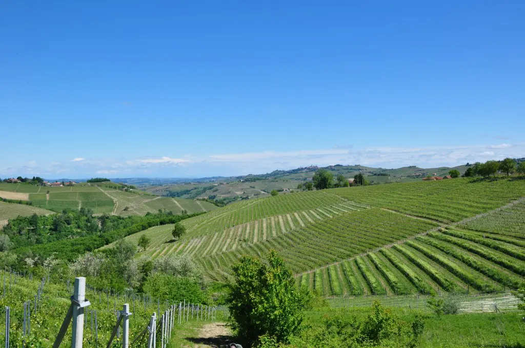 Langhe-en-Roero