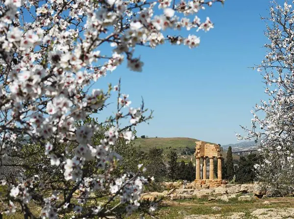 Lente-Italie-10