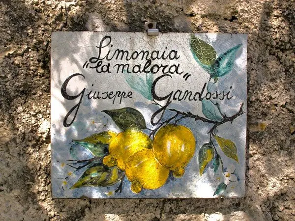 Limonaia-La-Malora-Gargnano-Garda