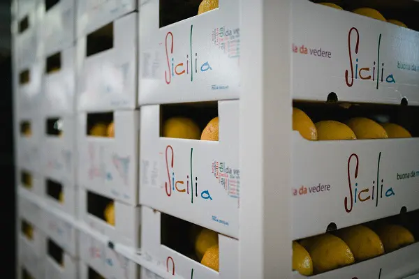 Limoncello-di-Fiorito-Sicilie (2)
