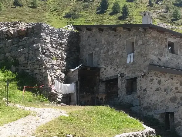 Livigno-mountainbiken-bergen (23)