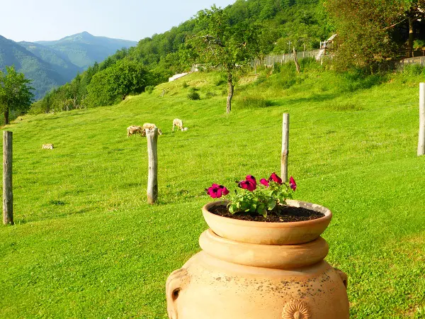 Locanda-del-Moro-Toscane (14)