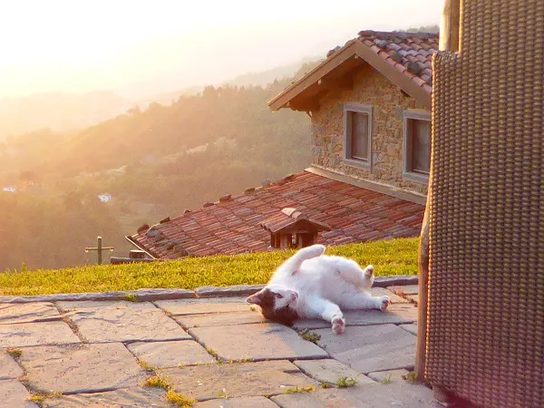 Locanda-del-Moro-Toscane (7)
