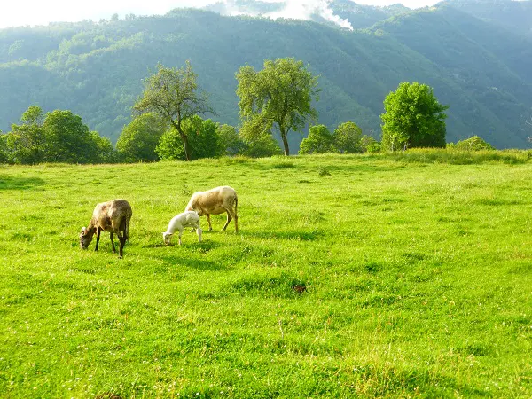 Locanda-del-Moro-Toscane (9)