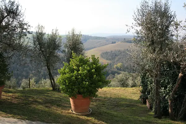 Lucignanello-borgo-details (3)
