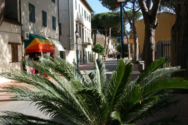 Marina-di-Campo (15)