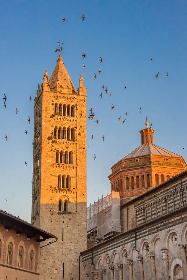 Massa-Marittima (2)