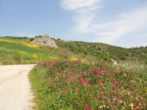 Molise-Ripabottoni
