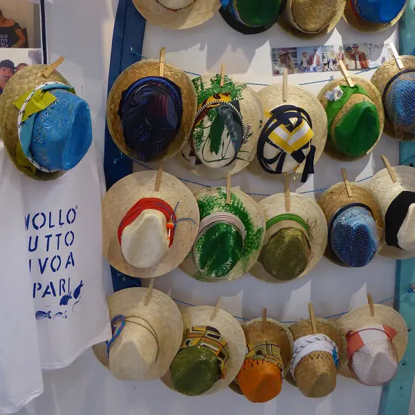 Mollo-tutto-vivo-a-Lipari (7)