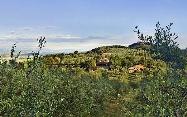Montali-1